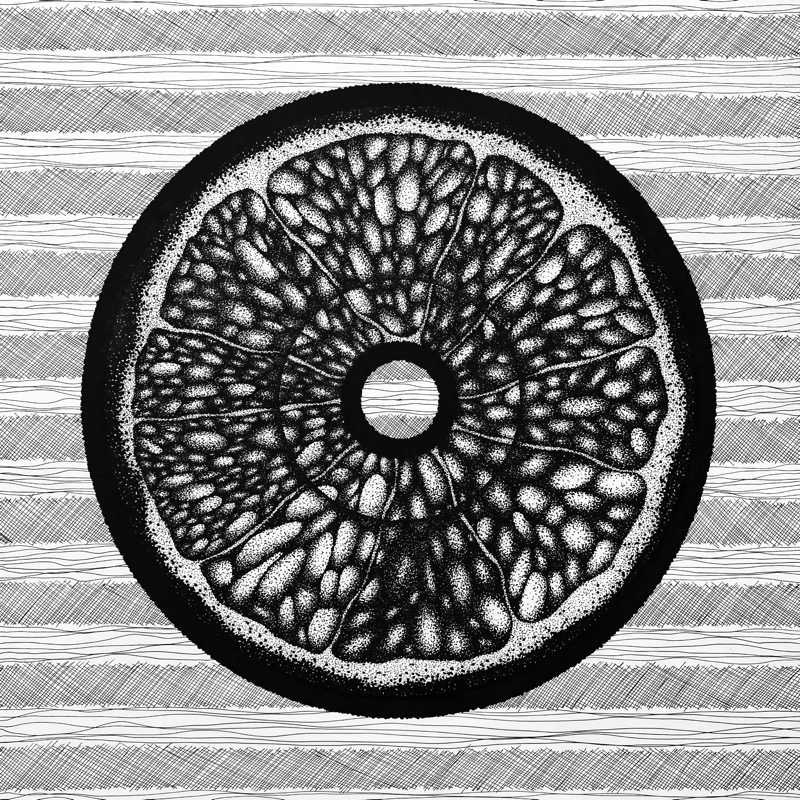 Citrus Черно-белая графика Лимон в разрезе Апельсин Цитрус