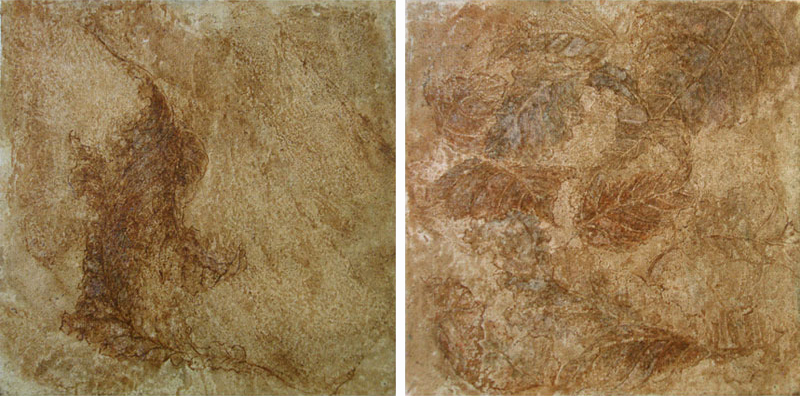 Неслучайность