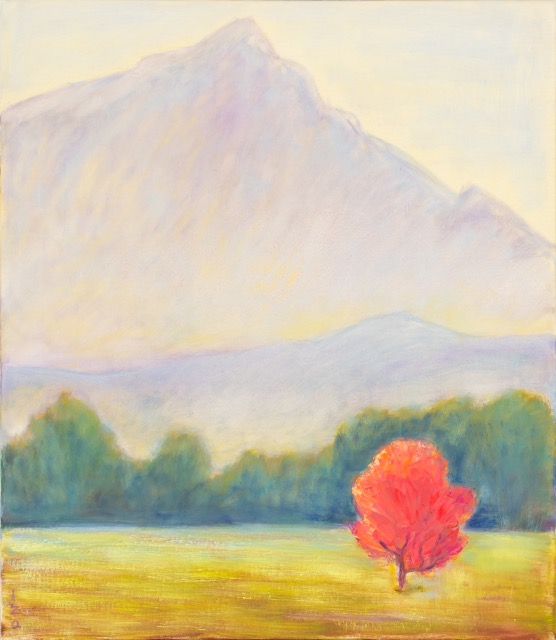 Красное дерево